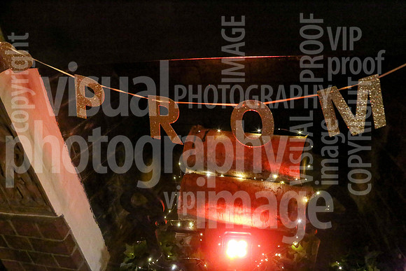 sps_0011_1008996208