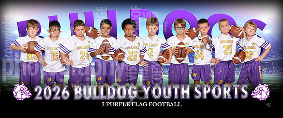 flag7purple-c