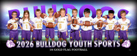 flag56gold-c