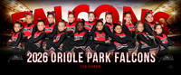 12ucheer