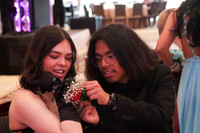 sps_0019_1013154553
