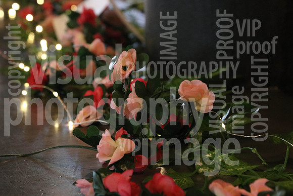 sps_0008_1013310001