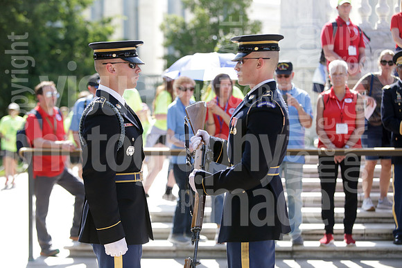 SSHF_DM_0388