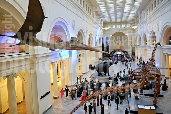 sps_0030_1036696642