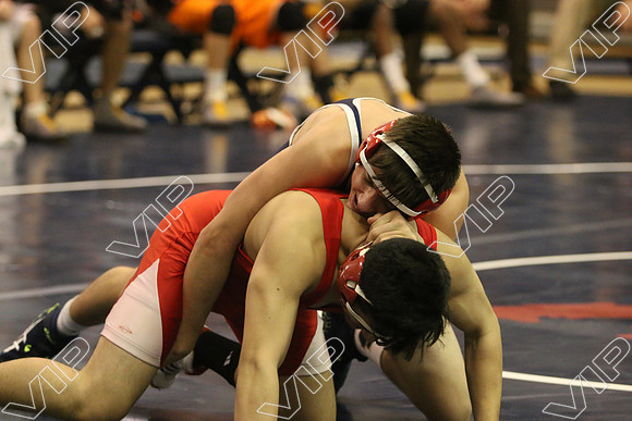 SVHS_035
