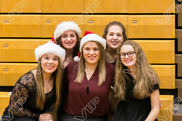HINS_034