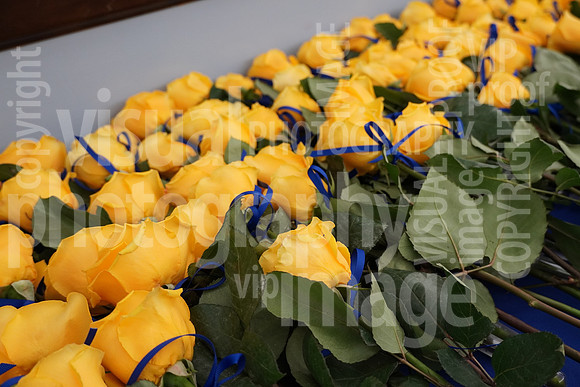 sps_0004_1013375823