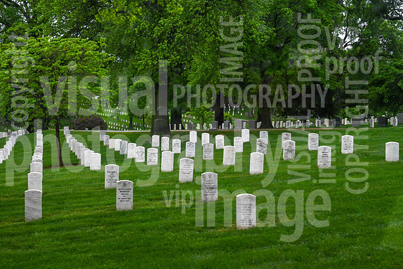 sps_0253_1013194324