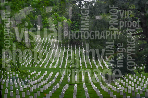 sps_0256_1013194326