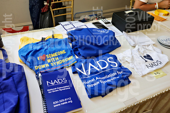 sps_0032_1054992740