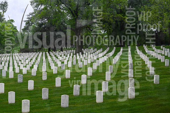 sps_0251_1013194323