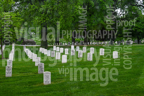 sps_0254_1013194325