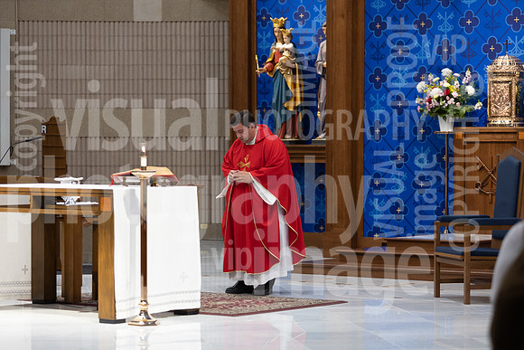 sps_0020_1013276335