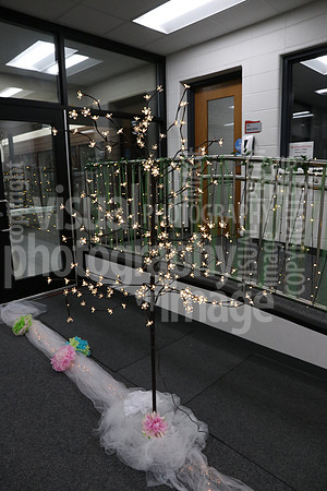 sps_0017_1013167900