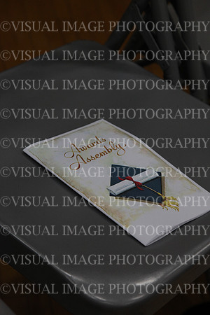 HINS_024