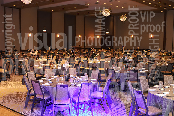 sps_0004_1013169596
