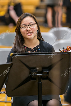 HINS_029