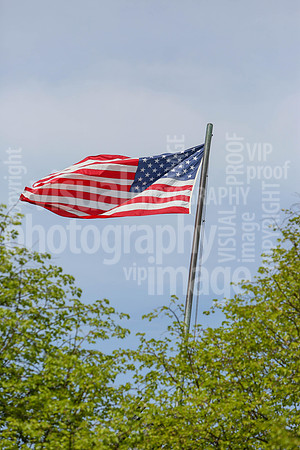 sps_1123_1008915157