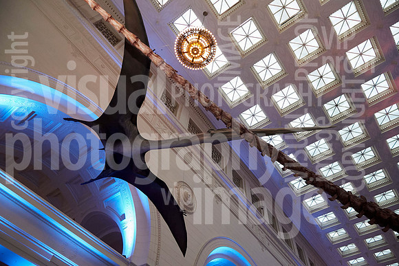 sps_4634_1013072626