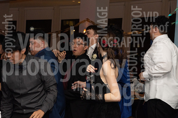 sps_0096_1013291300