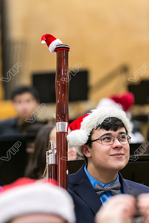 HINS_032
