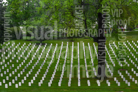 sps_0259_1013194328
