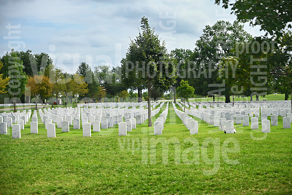 sps_1536_1054699283