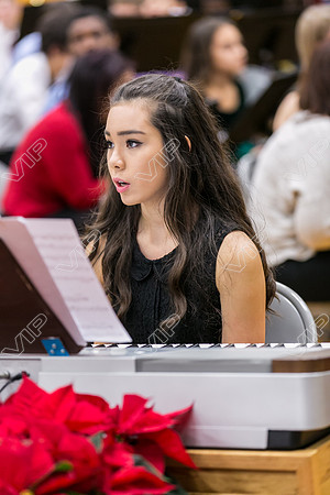 HINS_028