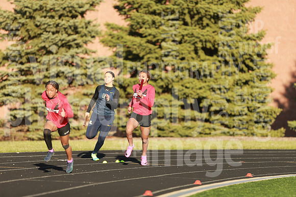 sps_5954_1012798692