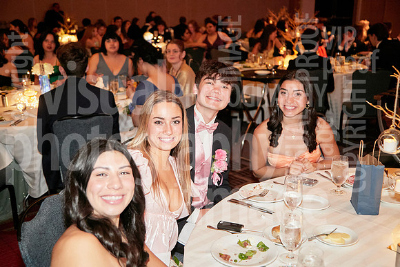 sps_2624_1013185692