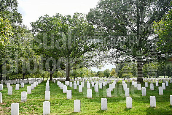 sps_1539_1054699306