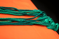 sps_0003_1013131544