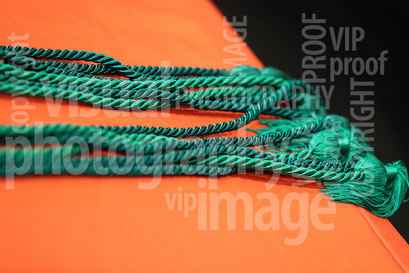 sps_0003_1013131544