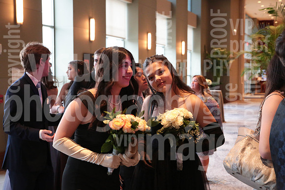 sps_0568_1013260176