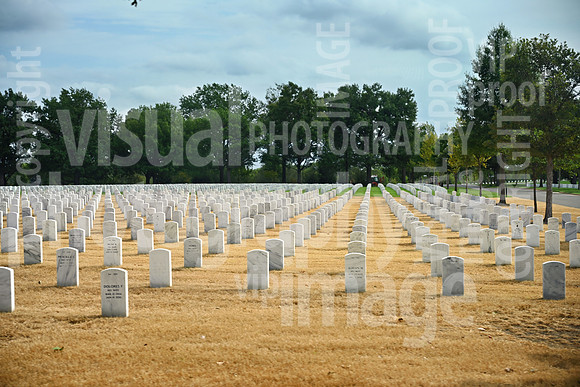 sps_1534_1054699277