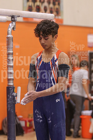 sps_0033_1013105432