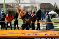 sps_0010_1012809568