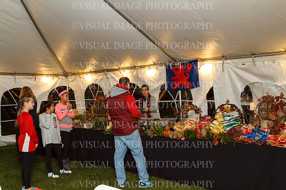 SVHS_016