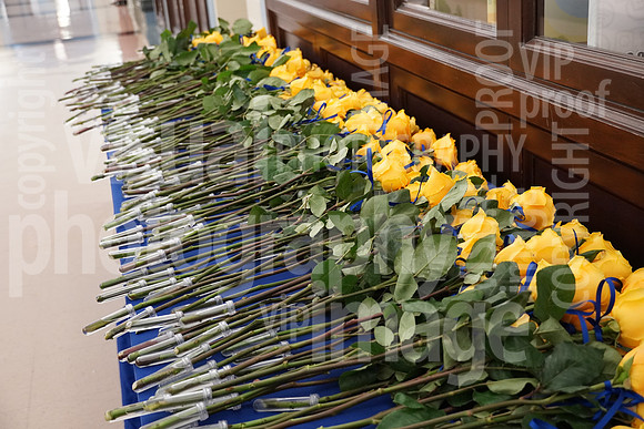 sps_0002_1013375821