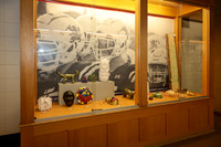 sps_0003_1012978756