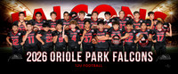 12ufootball