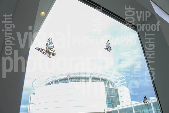 sps_0028_1013090185