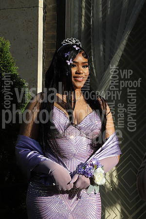 sps_0010_1013191601