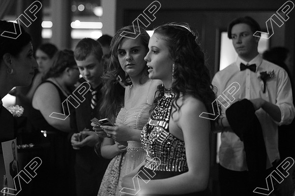 PIUS_0029