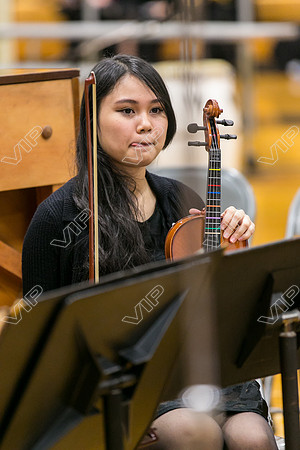 HINS_030