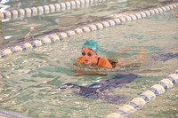 sps_0004_1010386373