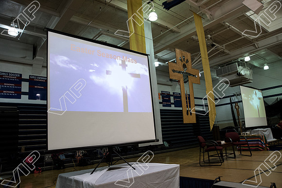 svhs mass-5