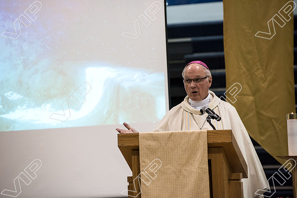 svhs mass-39