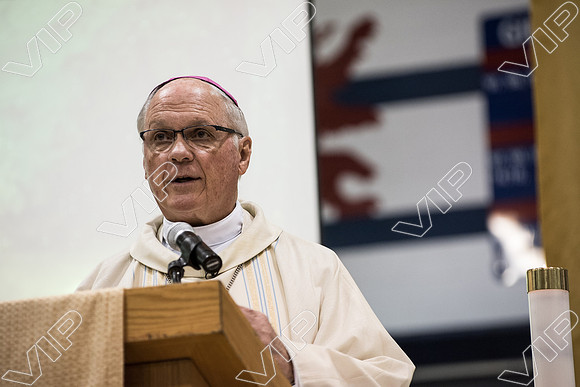 svhs mass-41