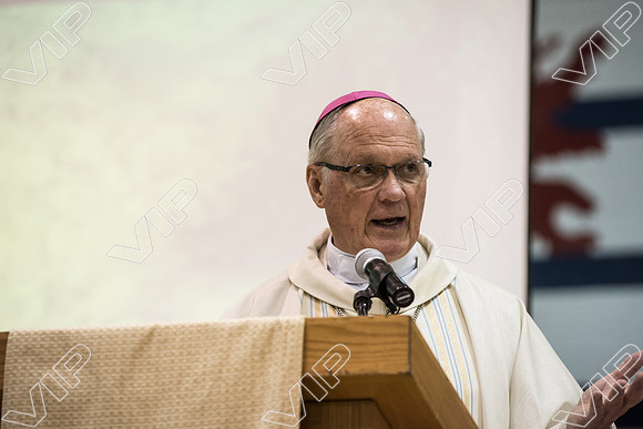 svhs mass-42
